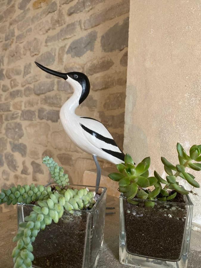 Le Mas Normand Ver-sur-Mer Εξωτερικό φωτογραφία